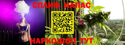 крисы Конаково