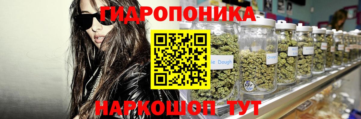 Конопля индика Советский